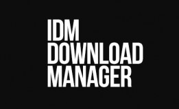 IDM Internet Download Manager APK für Android (kostenlos)